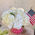Load image into Gallery viewer, NATIONAL ANTHEM