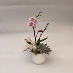 Load image into Gallery viewer, PRECIOUS ORCHID MINI