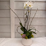 Load image into Gallery viewer, ROMANCING ORCHIDS