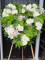 Load image into Gallery viewer, ELEGANT HONOR