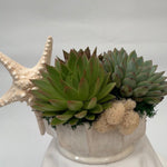 Load image into Gallery viewer, PRISCILLA COAST
