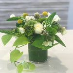 Load image into Gallery viewer, MOTHER NATURE