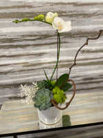 Load image into Gallery viewer, PRECIOUS ORCHID MINI