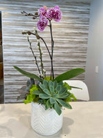 Load image into Gallery viewer, MINIATURE COLORED ORCHID