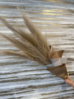 Load image into Gallery viewer, TEN STEMS PAMPAS GRASS