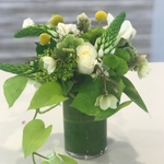 Load image into Gallery viewer, MOTHER NATURE