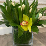 Load image into Gallery viewer, COMING UP TULIPS
