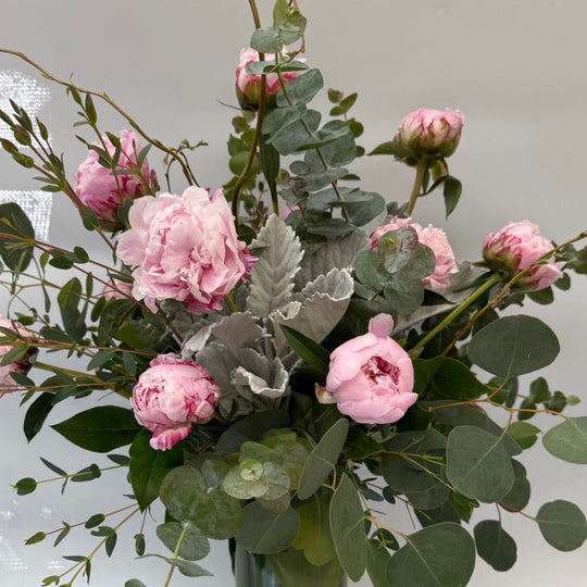PEONY PERFECTION