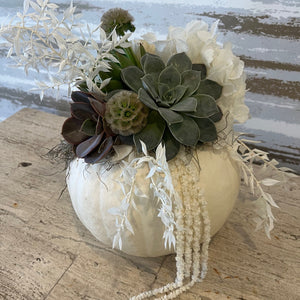 GHOST WHITE SUCCULENT PUMPKIN
