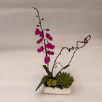 Load image into Gallery viewer, PRECIOUS ORCHID MINI
