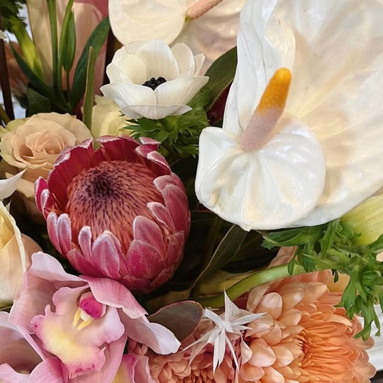 DESIGNER'S CHOICE TROPICAL