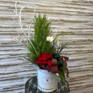 HOLIDAY PLANT COLLECTION