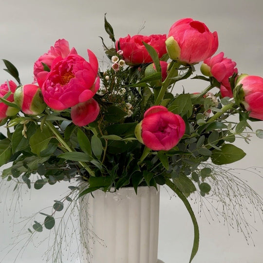 PEONY POP