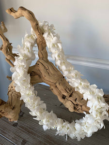 DOUBLE WHITE DENDROBIUM ORCHID LEI