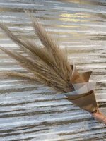 Load image into Gallery viewer, TEN STEMS PAMPAS GRASS
