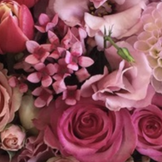 DESIGNER'S CHOICE - PINK