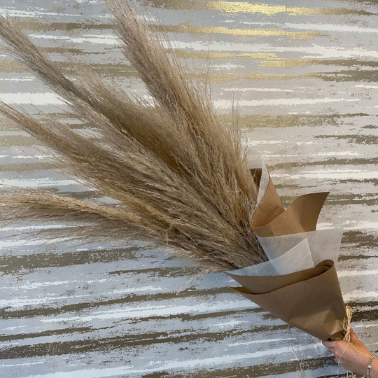 TEN STEMS PAMPAS GRASS