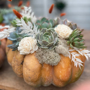 SUCCULENT PUMPKIN