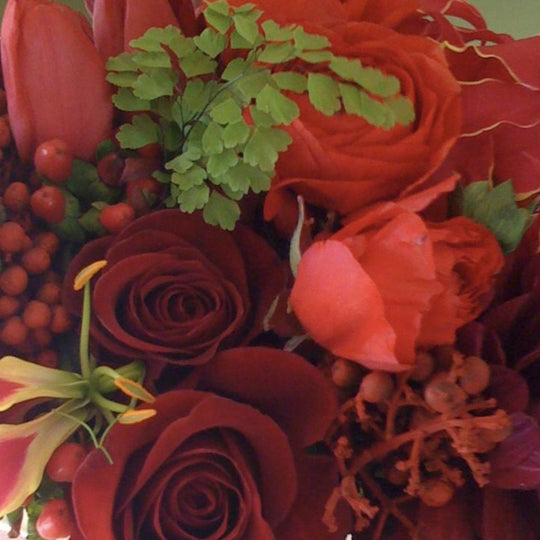 DESIGNER'S CHOICE - SHADES OF RED