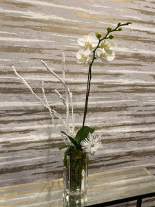 Orchid in Glass Crystal Hurricane