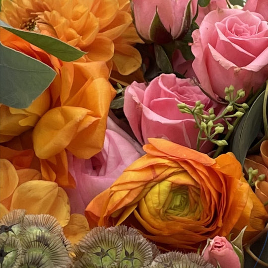 DESIGNER'S CHOICE - SHERBERT