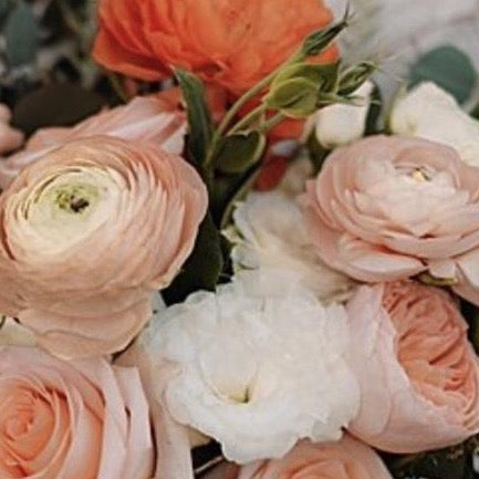 DESIGNER'S CHOICE - SOFT FALL