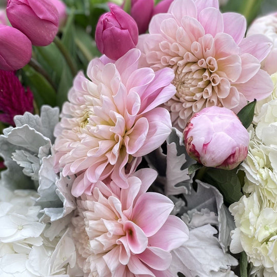 DESIGNER'S CHOICE - FEMININE