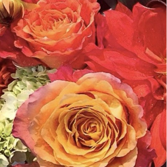 DESIGNER'S CHOICE - SHADES OF ORANGE