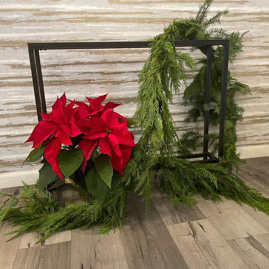 GARDLAND & POINSETTIA DUO