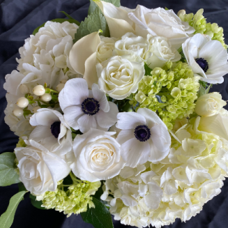 DESIGNER'S CHOICE - WHITE AND NEUTRAL